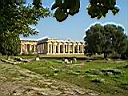 53_paestum.JPG